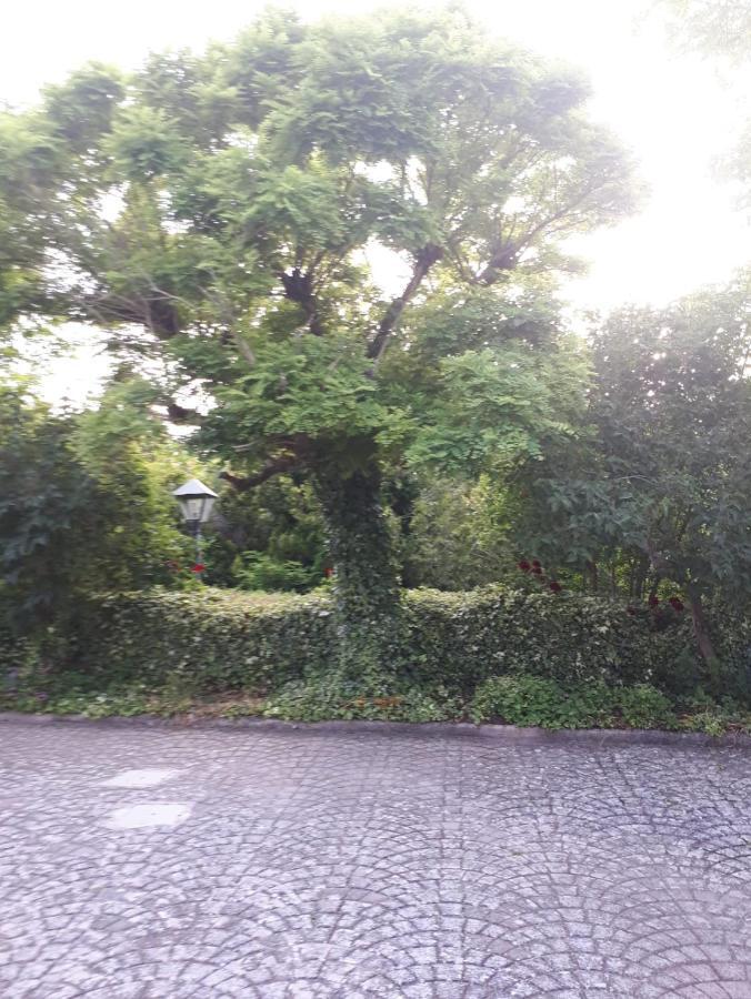 Il Casale Falagario Stacca Villa Altamura Exterior foto